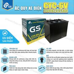 Ắc Quy Xe Điện GS CYC-6V 6V-225AH, acquy dùng cho xe golf, xe điện