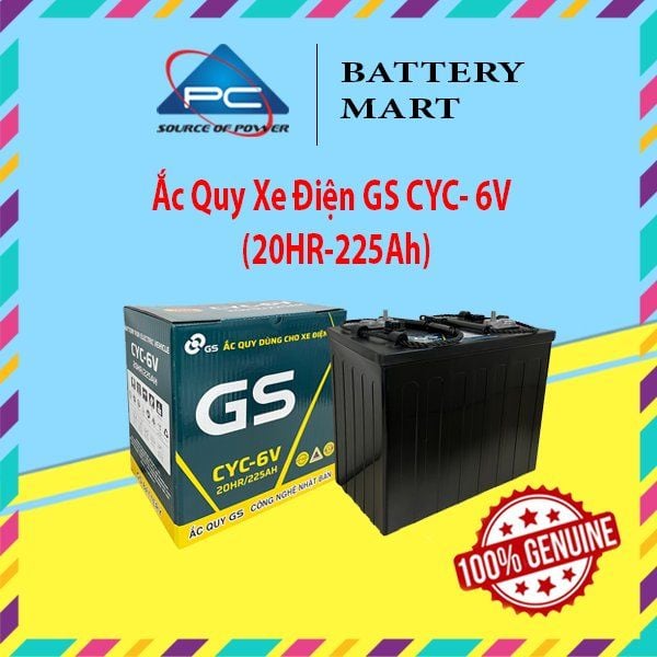 Ắc quy GS CYC-6V 6V-225AH cho xe điện kèm vỏ hộp và logo Battery Mart