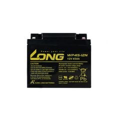 Ắc Quy LONG WP45-12N (12V-45Ah)