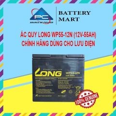 Ắc Quy LONG WP55-12N (12V-55Ah)