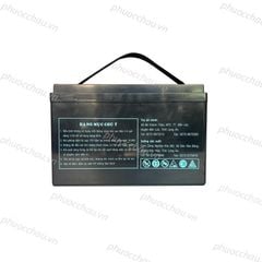 Ắc Quy LONG WPL100-12RN (12V-100Ah)