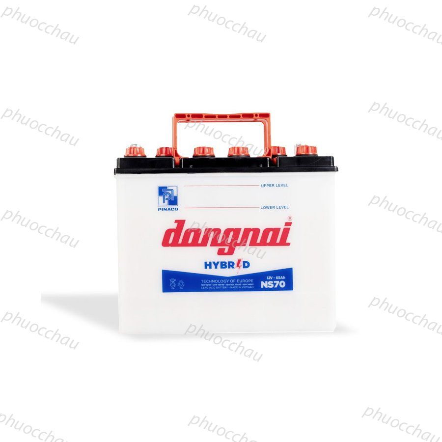 Ắc Quy DongNai NS70 12V-65AH