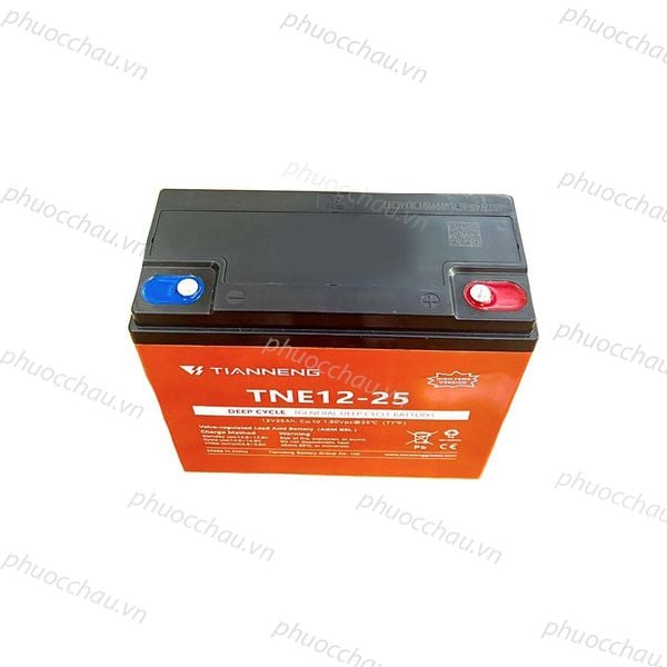 Ắc quy Thiên Năng TIANNENG TNE12-25 12V-25AH góc nhìn từ trên xuống, thấy rõ nắp bình, cọc vàng và tem chống hàng giả