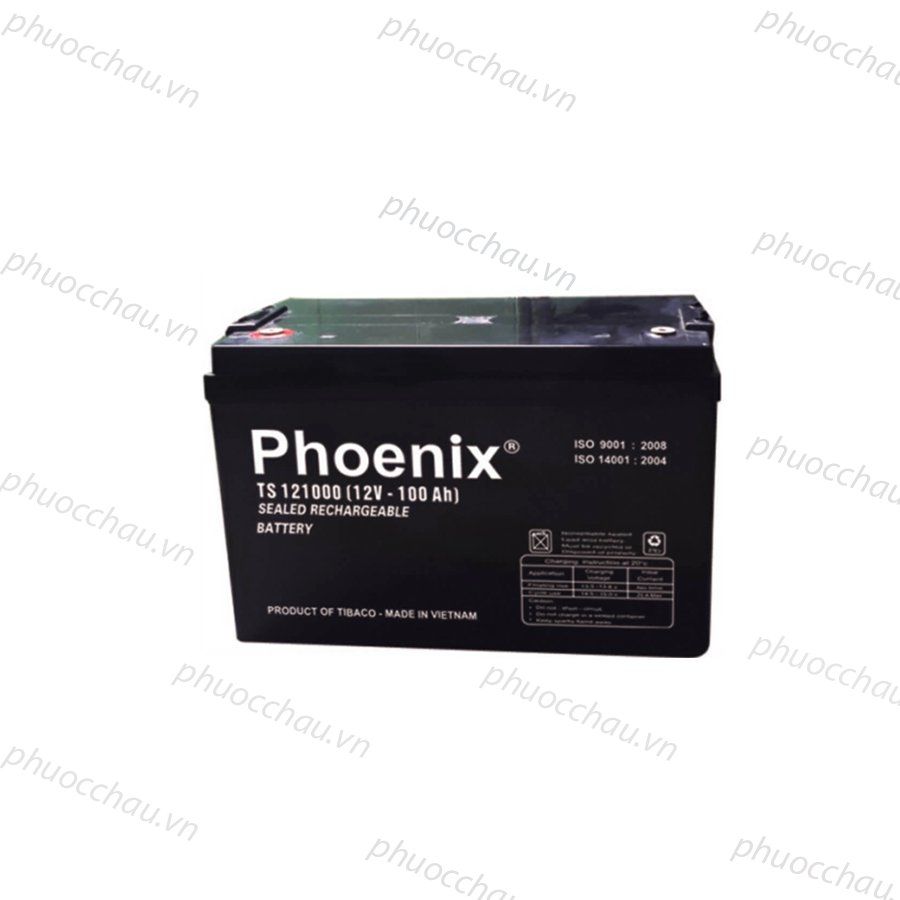 Bình Ắc Quy Khô PHOENIX TS121000 12V-100AH