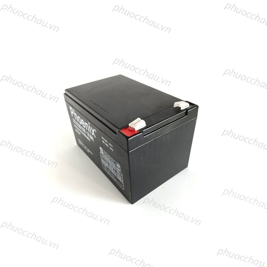 Bình Ắc Quy Khô PHOENIX TS12120 12V-12AH Dùng Cho UPS, Loa Kéo, Bình Phun Thuốc Sâu, Cửa Cuốn