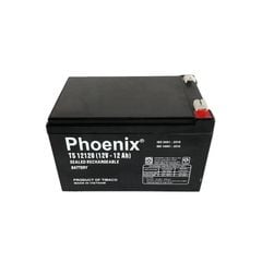 Bình Ắc Quy Khô PHOENIX TS12120 12V-12AH Dùng Cho UPS, Loa Kéo, Bình Phun Thuốc Sâu, Cửa Cuốn