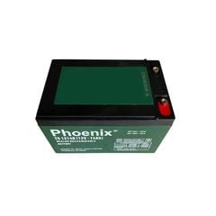 Bình Ắc Quy Khô PHOENIX TS12140 12V-14AH Dùng Cho UPS, Loa Kéo, Bình Phun Thuốc Sâu, Cửa Cuốn