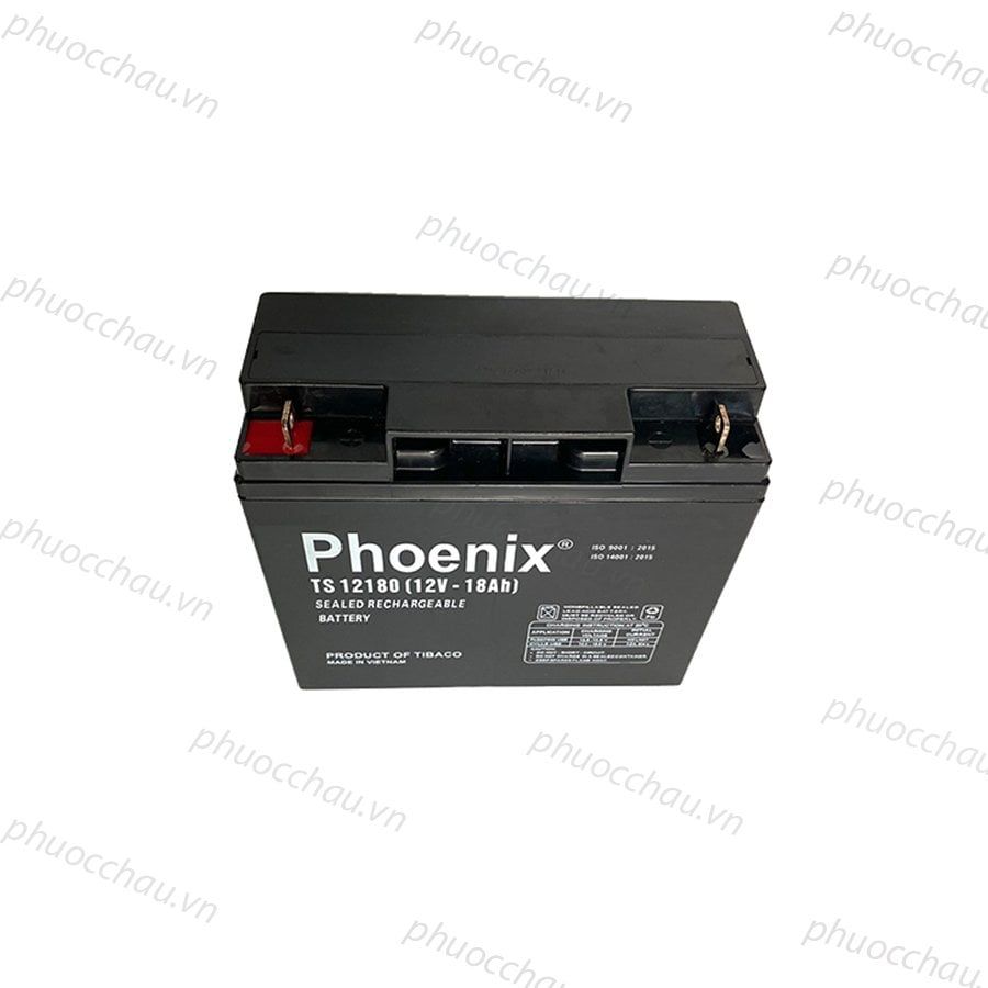 Bình Ắc Quy Khô PHOENIX TS12180 12V-18AH Dùng Cho UPS, Loa Kéo, Bình Phun Thuốc Sâu, Cửa Cuốn