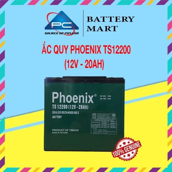 Ắc quy khô PHOENIX TS12200 12V-20Ah ảnh quảng cáo sản phẩm, nhìn chính diện, vỏ xanh tem trắng