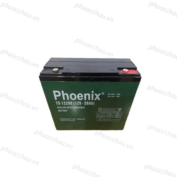 Bình ắc quy khô PHOENIX TS12200 12V-20Ah cận cảnh 2 cọc bình, cọc đỏ dương và cọc đen âm trên nắp