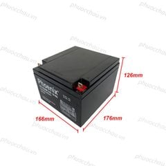 Bình Ắc Quy Khô PHOENIX TS12240W 12V-24AH Dùng Cho UPS, Loa Kéo, Lưu Điện