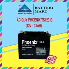 Bình Ắc Quy Khô PHOENIX TS12310 12V-31AH Dùng Cho UPS, Loa Kéo, Lưu Điện
