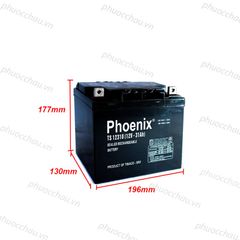 Bình Ắc Quy Khô PHOENIX TS12310 12V-31AH Dùng Cho UPS, Loa Kéo, Lưu Điện