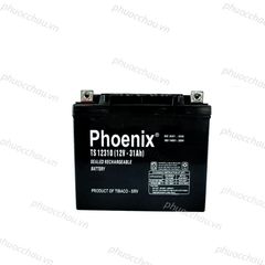 Bình Ắc Quy Khô PHOENIX TS12310 12V-31AH Dùng Cho UPS, Loa Kéo, Lưu Điện