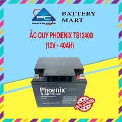 Bình Ắc Quy Khô PHOENIX TS12400 12V-40AH