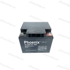 Bình Ắc Quy Khô PHOENIX TS12400 12V-40AH