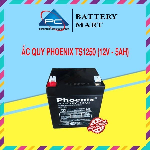 Ắc Quy PHOENIX TS1250 12V-5Ah  - Chuyên Dùng Cho Nguồn Dự Phòng (UPS, Inverter, ...)