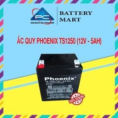 Ắc Quy PHOENIX TS1250 12V-5Ah  - Chuyên Dùng Cho Nguồn Dự Phòng (UPS, Inverter, ...)