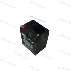 Ắc Quy PHOENIX TS1250 12V-5Ah  - Chuyên Dùng Cho Nguồn Dự Phòng (UPS, Inverter, ...)