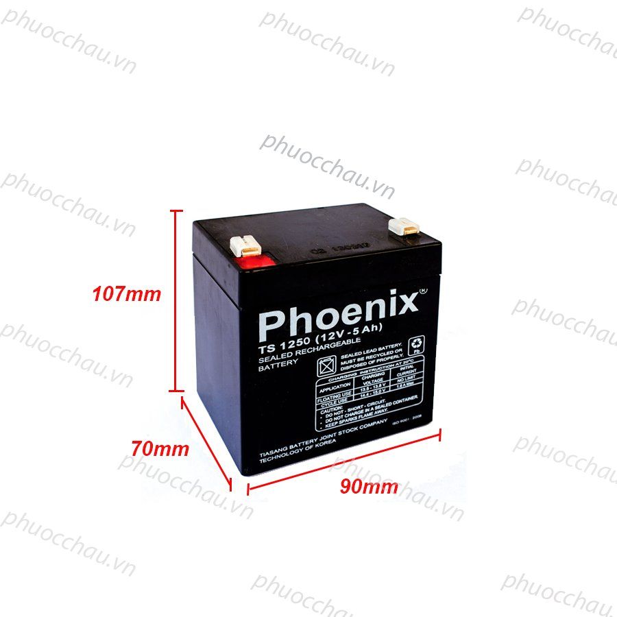 Ắc Quy PHOENIX TS1250 12V-5Ah  - Chuyên Dùng Cho Nguồn Dự Phòng (UPS, Inverter, ...)
