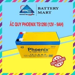 Bình Ắc Quy Khô PHOENIX TS1290 12V - 9AH Dùng Cho UPS, Loa Kéo, Bình Phun Thuốc Sâu, Cửa Cuốn