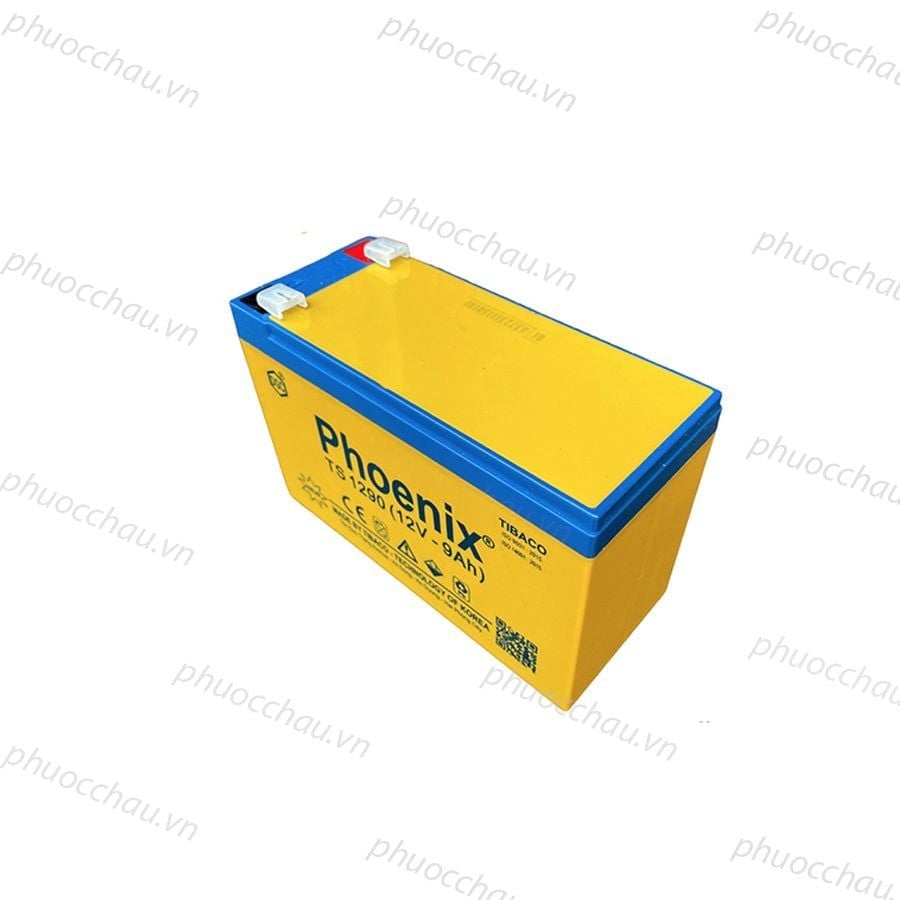 Bình Ắc Quy Khô PHOENIX TS1290 12V - 9AH Dùng Cho UPS, Loa Kéo, Bình Phun Thuốc Sâu, Cửa Cuốn
