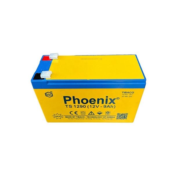 Bình Ắc Quy Khô PHOENIX TS1290 12V - 9AH Dùng Cho UPS, Loa Kéo, Bình Phun Thuốc Sâu, Cửa Cuốn