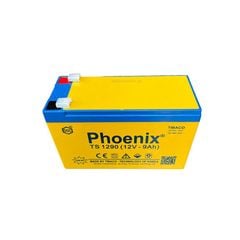 Bình Ắc Quy Khô PHOENIX TS1290 12V - 9AH Dùng Cho UPS, Loa Kéo, Bình Phun Thuốc Sâu, Cửa Cuốn
