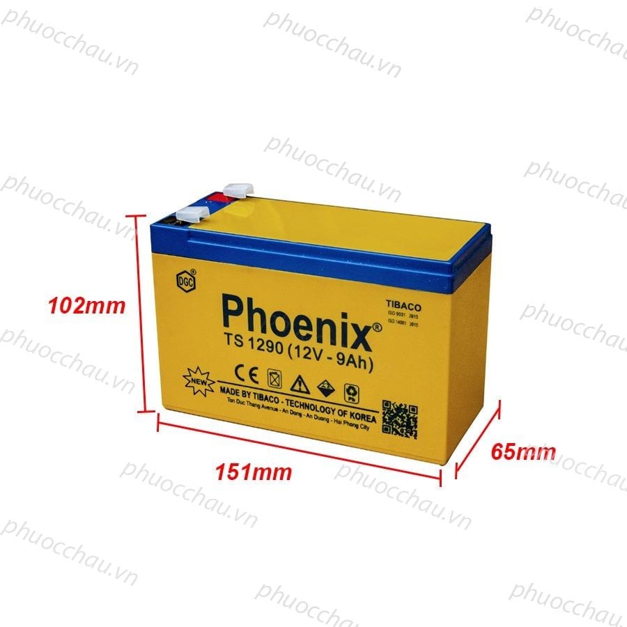 Bình Ắc Quy Khô PHOENIX TS1290 12V - 9AH Dùng Cho UPS, Loa Kéo, Bình Phun Thuốc Sâu, Cửa Cuốn