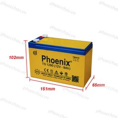 Bình Ắc Quy Khô PHOENIX TS1290 12V - 9AH Dùng Cho UPS, Loa Kéo, Bình Phun Thuốc Sâu, Cửa Cuốn