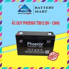 Ắc Quy PHOENIX TS6120 6V-12Ah  - Chuyên Dùng Cho Nguồn Dự Phòng (UPS, Inverter, ...)