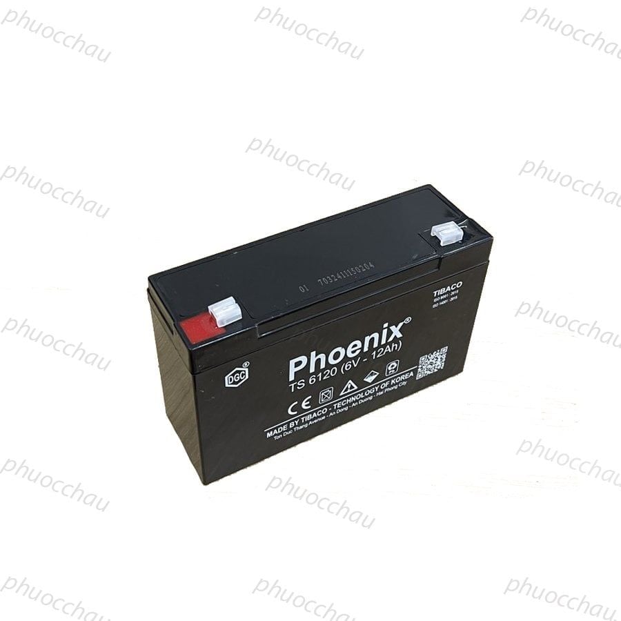 Ắc Quy PHOENIX TS6120 6V-12Ah  - Chuyên Dùng Cho Nguồn Dự Phòng (UPS, Inverter, ...)