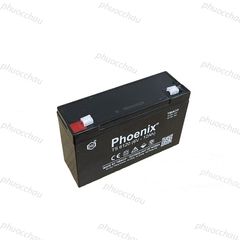 Ắc Quy PHOENIX TS6120 6V-12Ah  - Chuyên Dùng Cho Nguồn Dự Phòng (UPS, Inverter, ...)