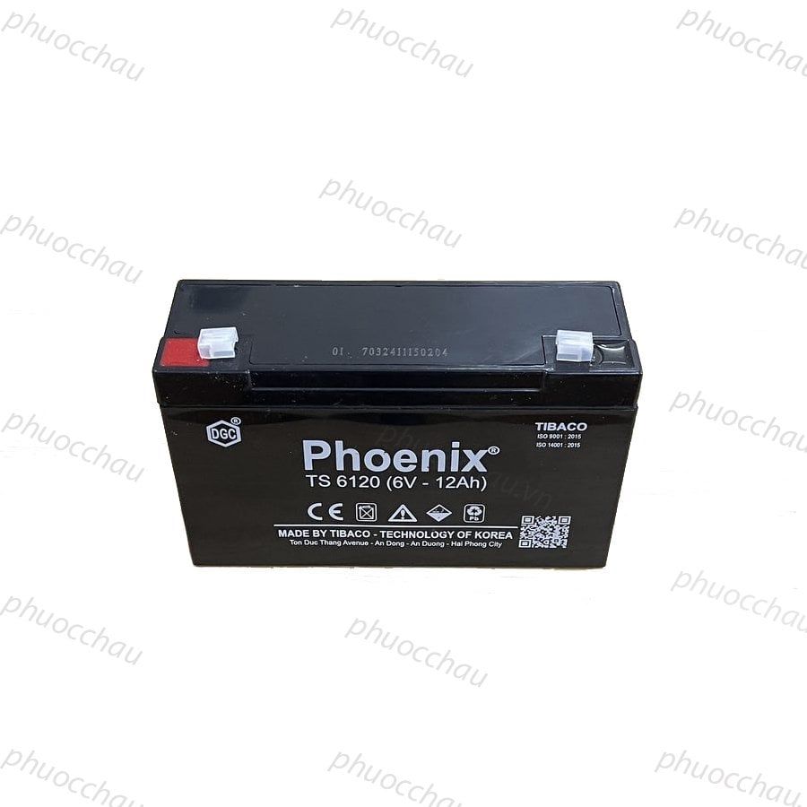 Ắc Quy PHOENIX TS6120 6V-12Ah  - Chuyên Dùng Cho Nguồn Dự Phòng (UPS, Inverter, ...)