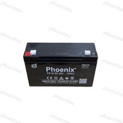 Ắc Quy PHOENIX TS6120 6V-12Ah  - Chuyên Dùng Cho Nguồn Dự Phòng (UPS, Inverter, ...)