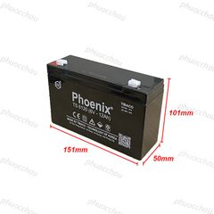 Ắc Quy PHOENIX TS6120 6V-12Ah  - Chuyên Dùng Cho Nguồn Dự Phòng (UPS, Inverter, ...)