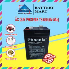 Ắc Quy PHOENIX TS650 6V-5Ah  - Chuyên Dùng Cho Nguồn Dự Phòng (UPS, Inverter, ...)