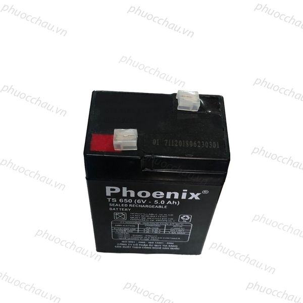 Ắc quy Phoenix TS650 6V-5Ah nhìn từ trên xuống, thấy rõ 2 cọc chìa có nắp nhựa trắng và tem chống hàng giả màu đỏ