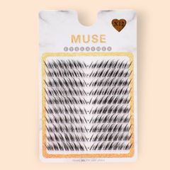Hộp Mi Giả Cụm Muse Vĩ