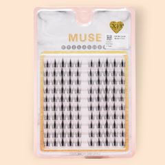 Hộp Mi Giả Cụm Muse Vĩ