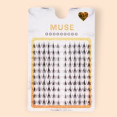 Hộp Mi Giả Cụm Muse Vĩ