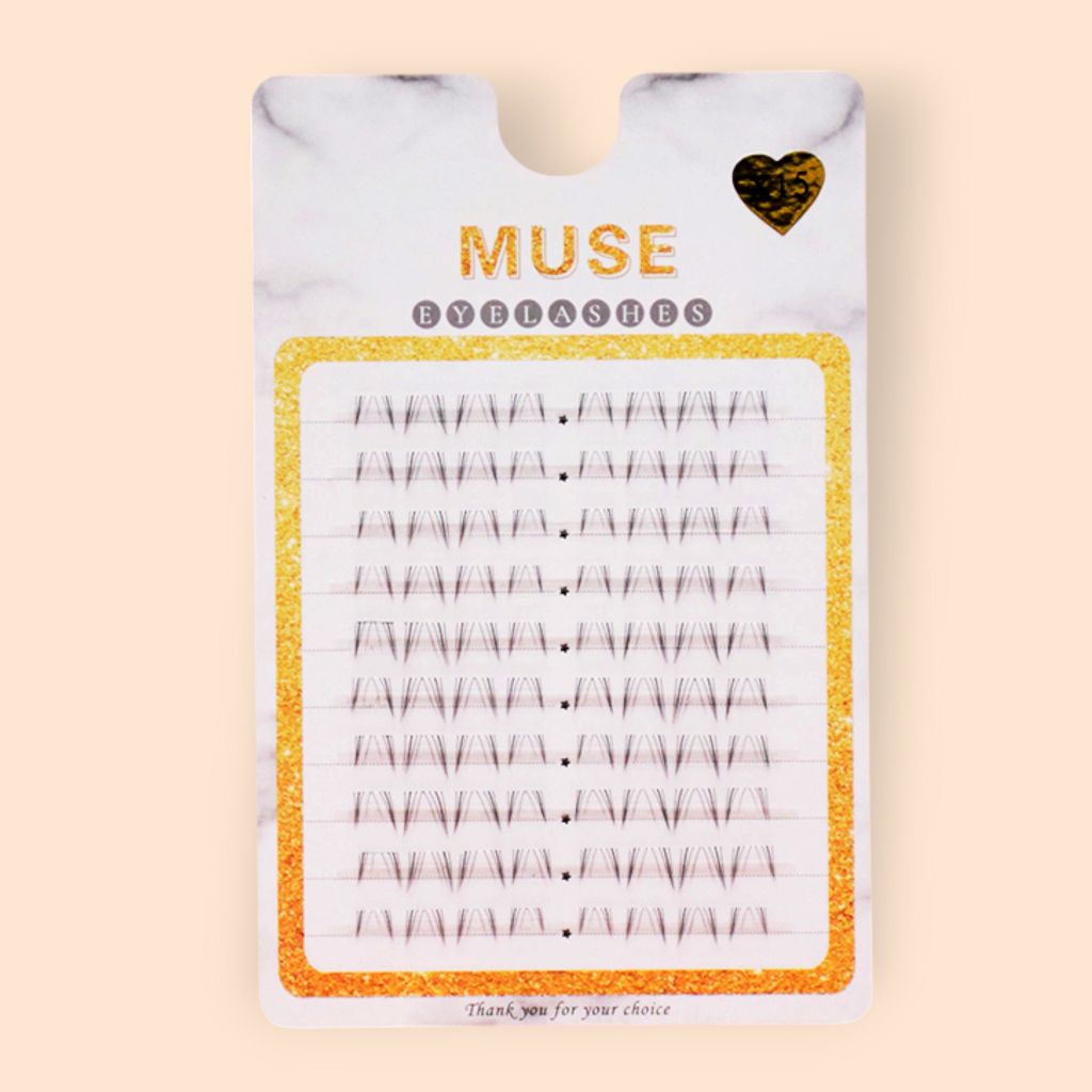 Hộp Mi Giả Cụm Muse Vĩ