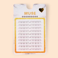 Hộp Mi Giả Cụm Muse Vĩ
