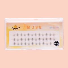 Hộp Mi Cụm Muse, Mi Giả