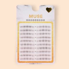 Hộp Mi Giả Cụm Muse Vĩ