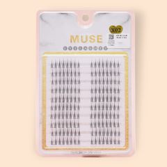 Hộp Mi Giả Cụm Muse Vĩ