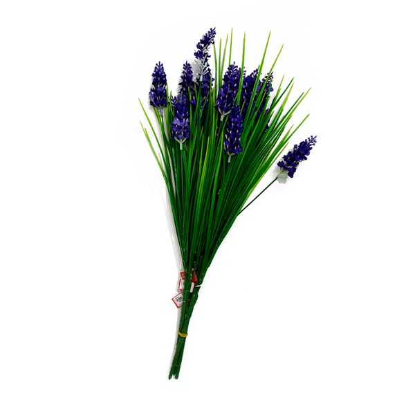 Cỏ hẹ Lavender