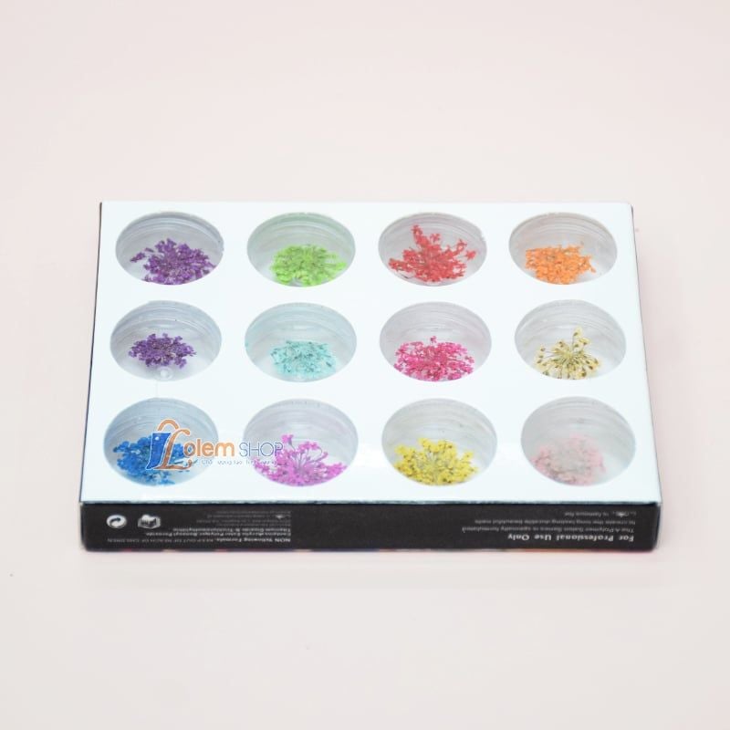 Set Hoa Khô Trang Trí Nail Kelamei 12 Ô