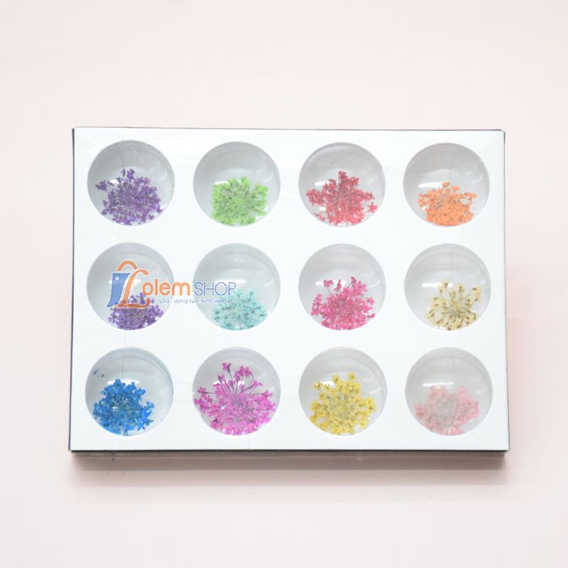 Set Hoa Khô Trang Trí Nail Kelamei 12 Ô