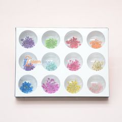 Set Hoa Khô Trang Trí Nail Kelamei 12 Ô
